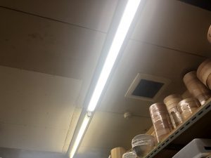 愛知県春日井市の飲食店にて照明器具のLED化電気工事